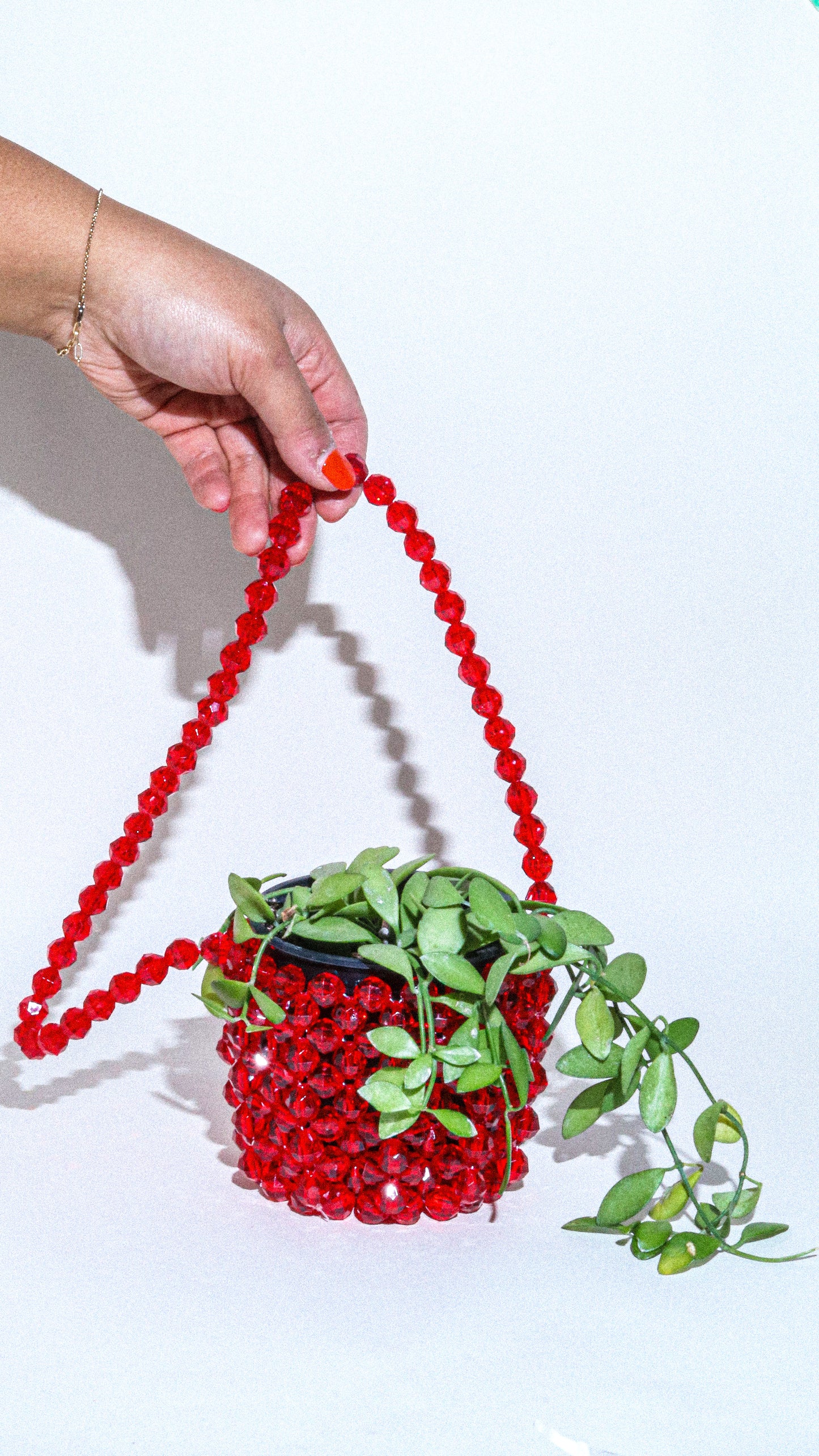 Plant Hanger