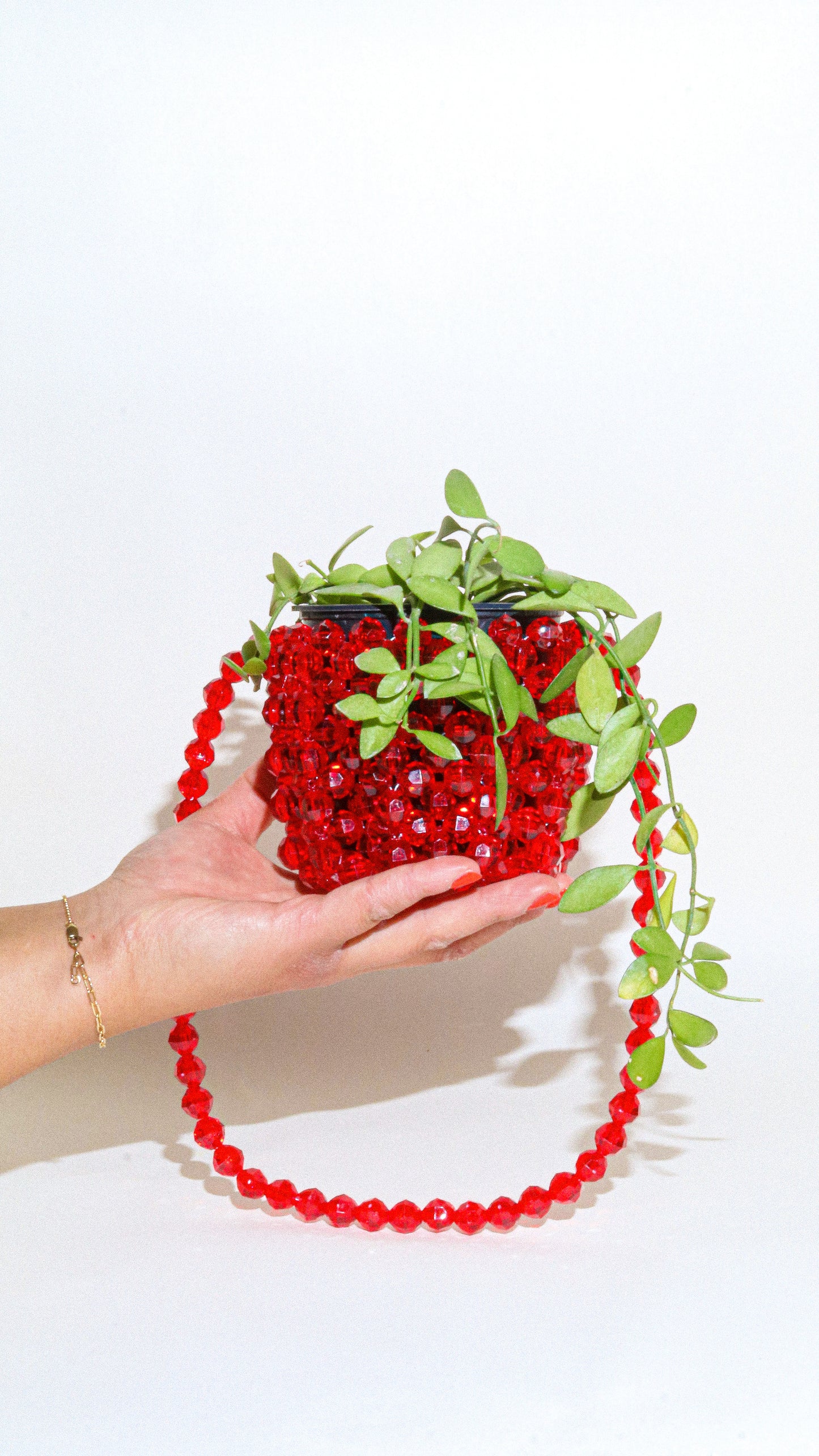 Plant Hanger