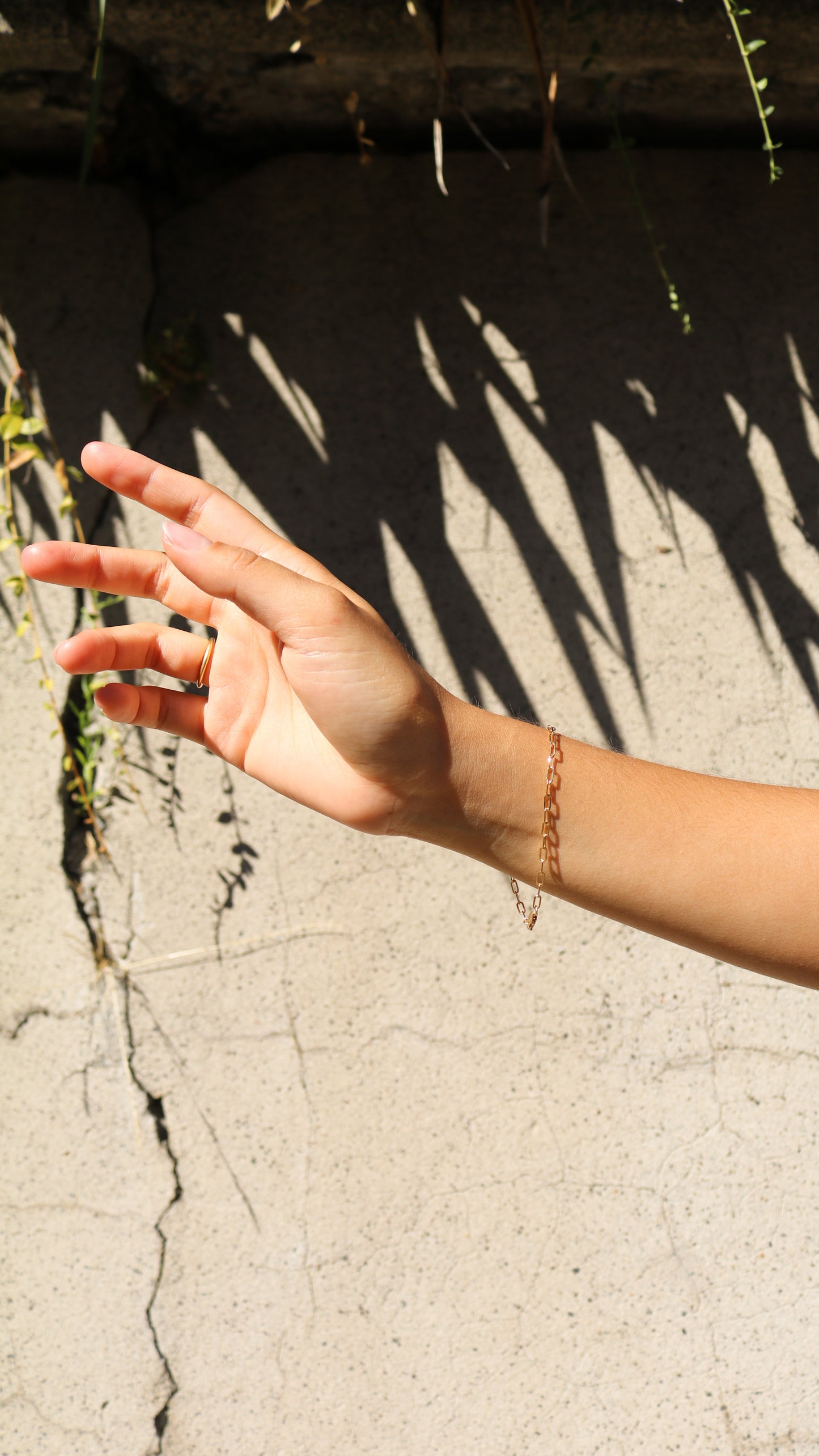 Charm Bracelet