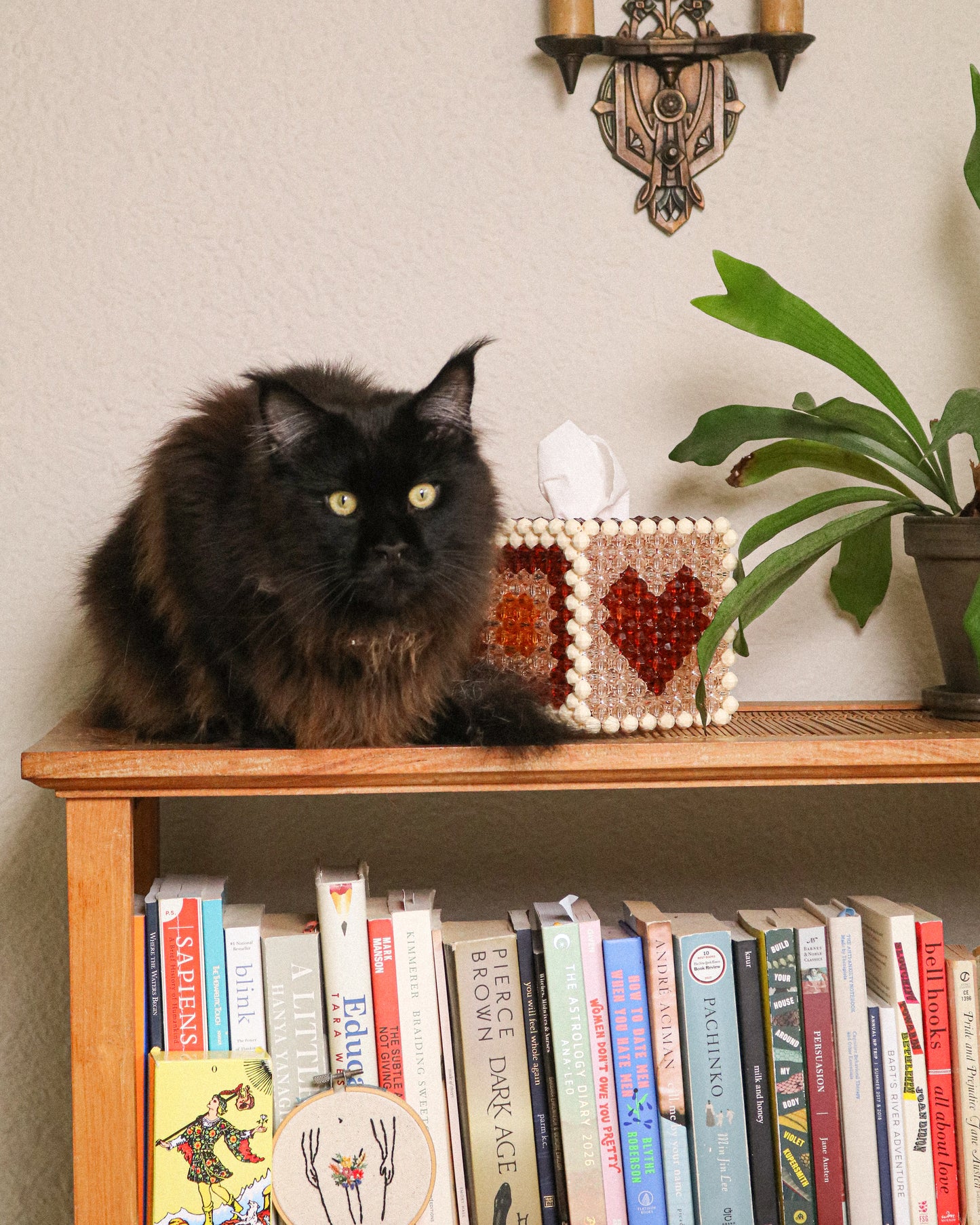 Tissue Cover No. 1 | Warm Hues