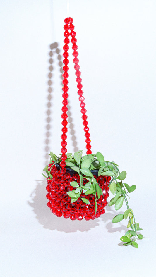Plant Hanger