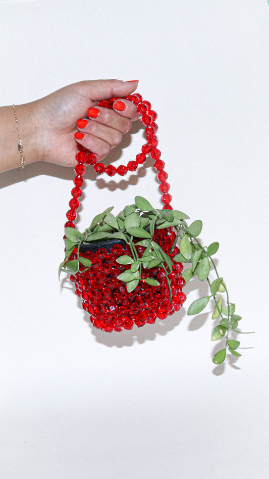 Plant Hanger